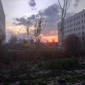 欧美人妖性交色情欣赏
